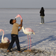 An Indian boy kisses a model of a flamingo at Bhuj, in the Rann of Kutch, a seasonal salt marsh located in the Thar Desert.